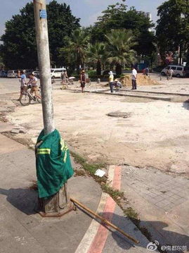 東莞環(huán)衛(wèi)工人討薪遭暴力襲擊，社會(huì)公平與勞動(dòng)者權(quán)益保護(hù)再引關(guān)注